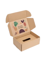 small corrugated box with insert